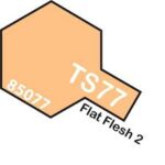 TS-77 สีฟlesh ด้าน - Image 5