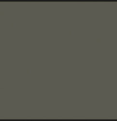 สีแลคเกอร์ RLM81 น้ำตาลม่วง - C-121