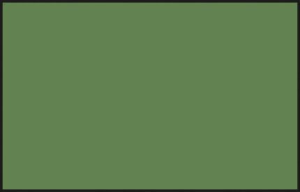 สีเขียวอ่อน RLM82 - C-122