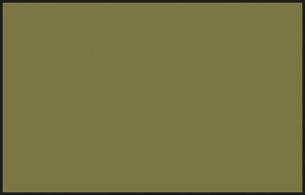 สีแลคเกอร์ Mr.Color C-351 (ZINC-CHROMATE TYPE FS34151) - C-351
