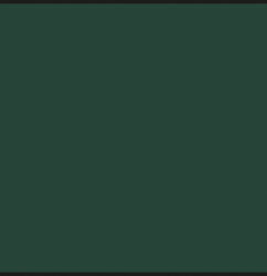 สีแลคเกอร์ Mr.Color C-383 DARK GREEN - C-383