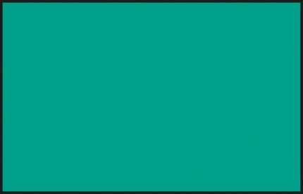 สีเขียวเทอร์ควอยซ์ภายในโซเวียต C-391 - C-391
