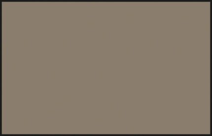 สีแลคเกอร์ IDF GRAY2 (1981 GOLAN) - C-529