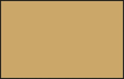 สีอะคริลิค N-27 TAN - N-27