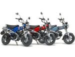 Tamiya 1/12 Honda Dax125 (TA14142) - TA14142