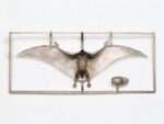 Tamiya 1/36 Pteranodon (TA60204) - TA60204