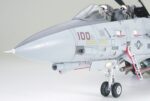 Tamiya 1/32 F-14A Black Knight (TA60313) - TA60313
