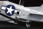 Tamiya 1/32 P-51D/K Mustang (TA60323) - TA60323