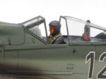 Tamiya 1/48 Focke Wulf FW190 D-9 (TA61041) - TA61041