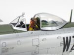 Tamiya 1/48 P-47 D Thunderbolt (TA61090) - TA61090