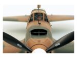 Tamiya 1/48 Ilyushin Il-2 Shturmovik (TA61113) - TA61113